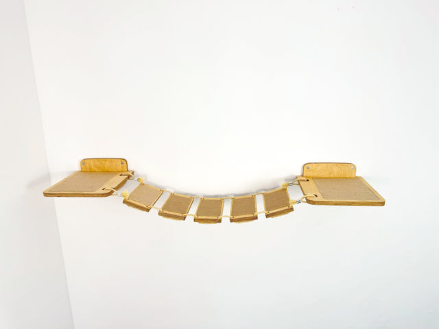 cat rope bridge
