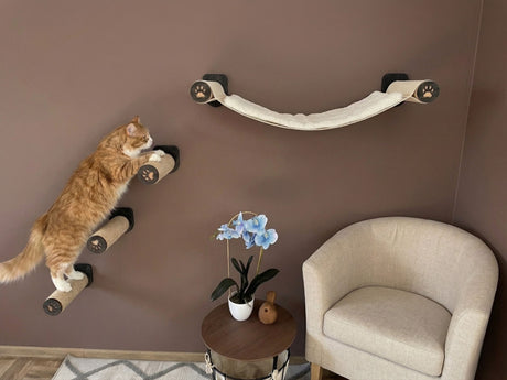Wall-mounted cat hammock with cushion and 3 steps to choose from.