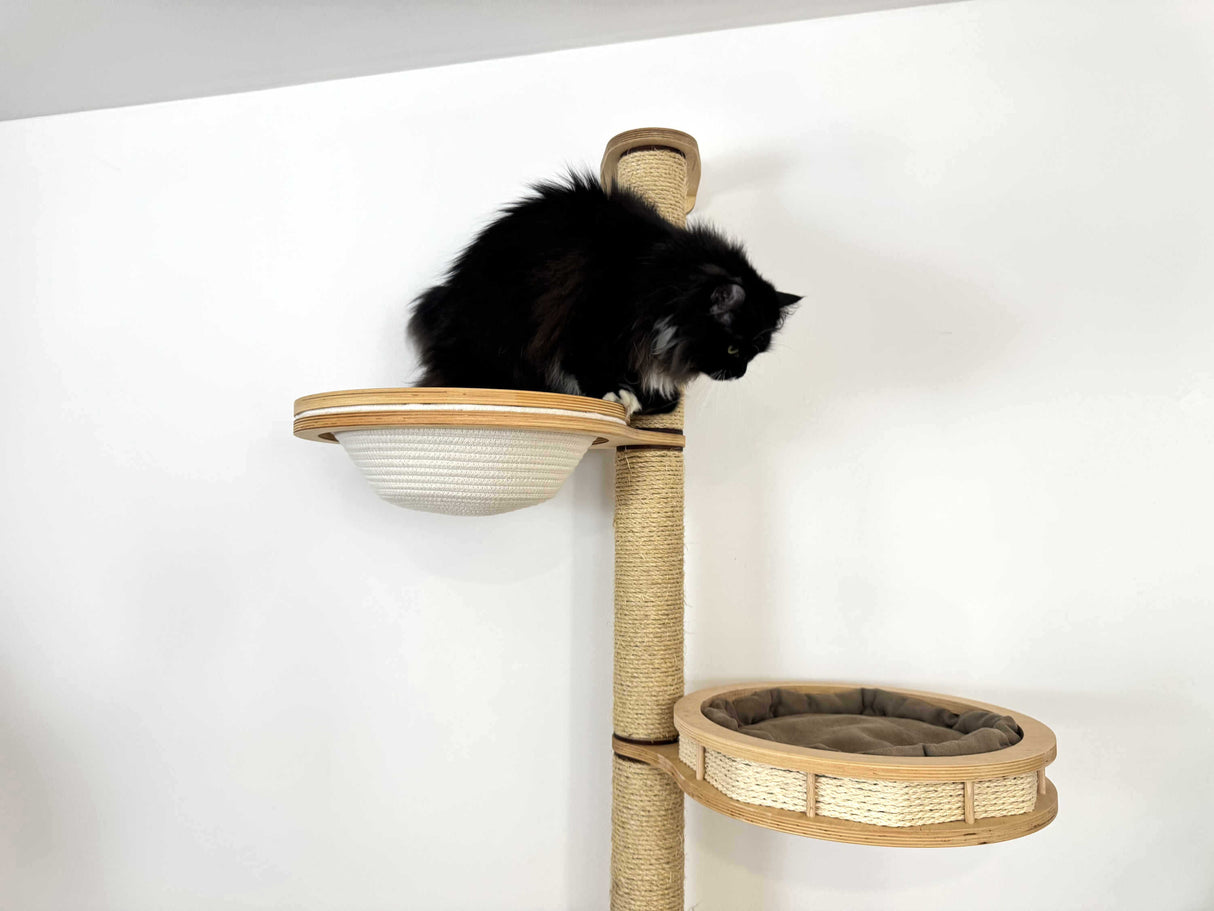scratching posts cats