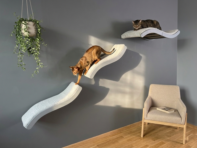 Two cats on white wall-mounted cat shelves against a gray wall with a plant and chair in the foreground.