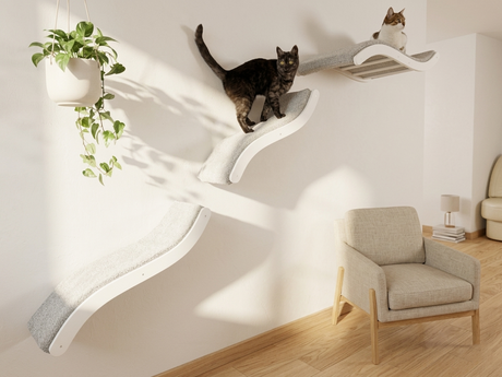 White cat shelf with cats on it in a room with a chair and plant.