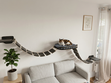 Cat lounging on a elevated cat shelf attached to a sofa in a living room.