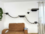 cat climbing shelves