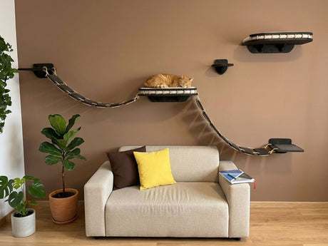 Dark cat wall shelves