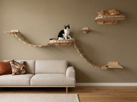 Wall-mounted cat shelves: bridge, beds, and steps