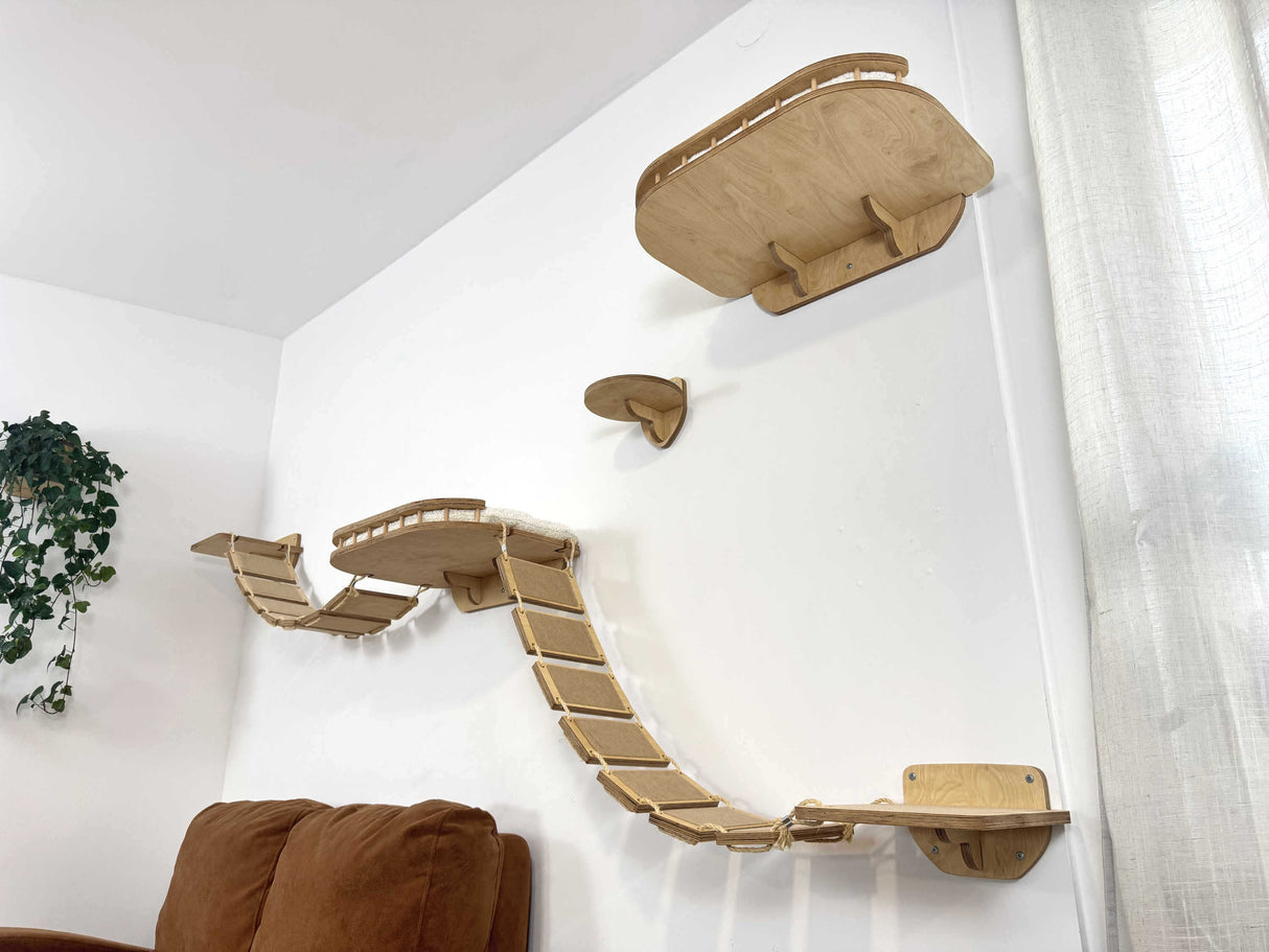 Cat wall climbing system: bridge, cat shelves and steps. Natural color of shelves and whitecushion and beige carpet