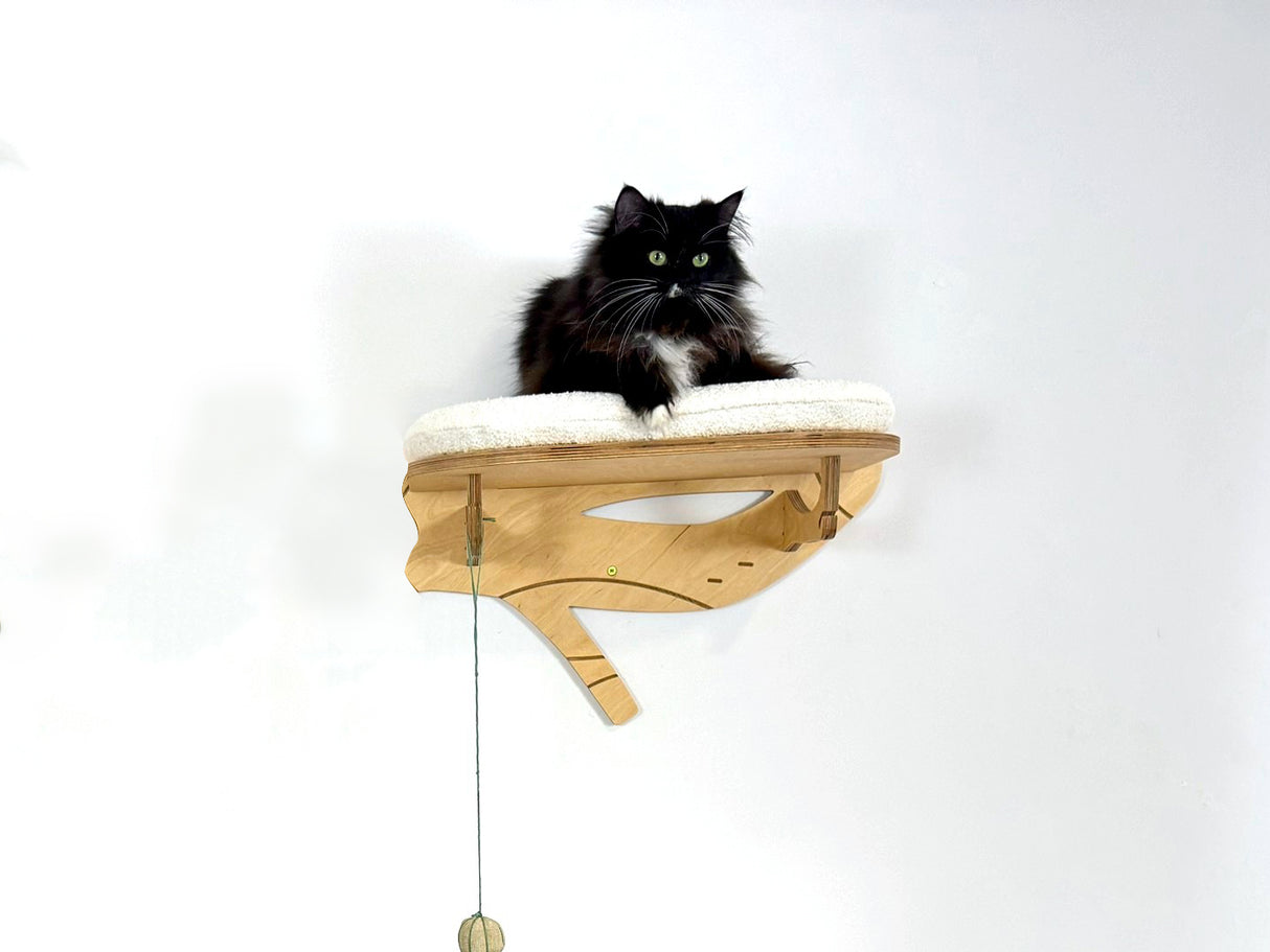 Cat sitting on a wooden shelf with a white cushion against a white background