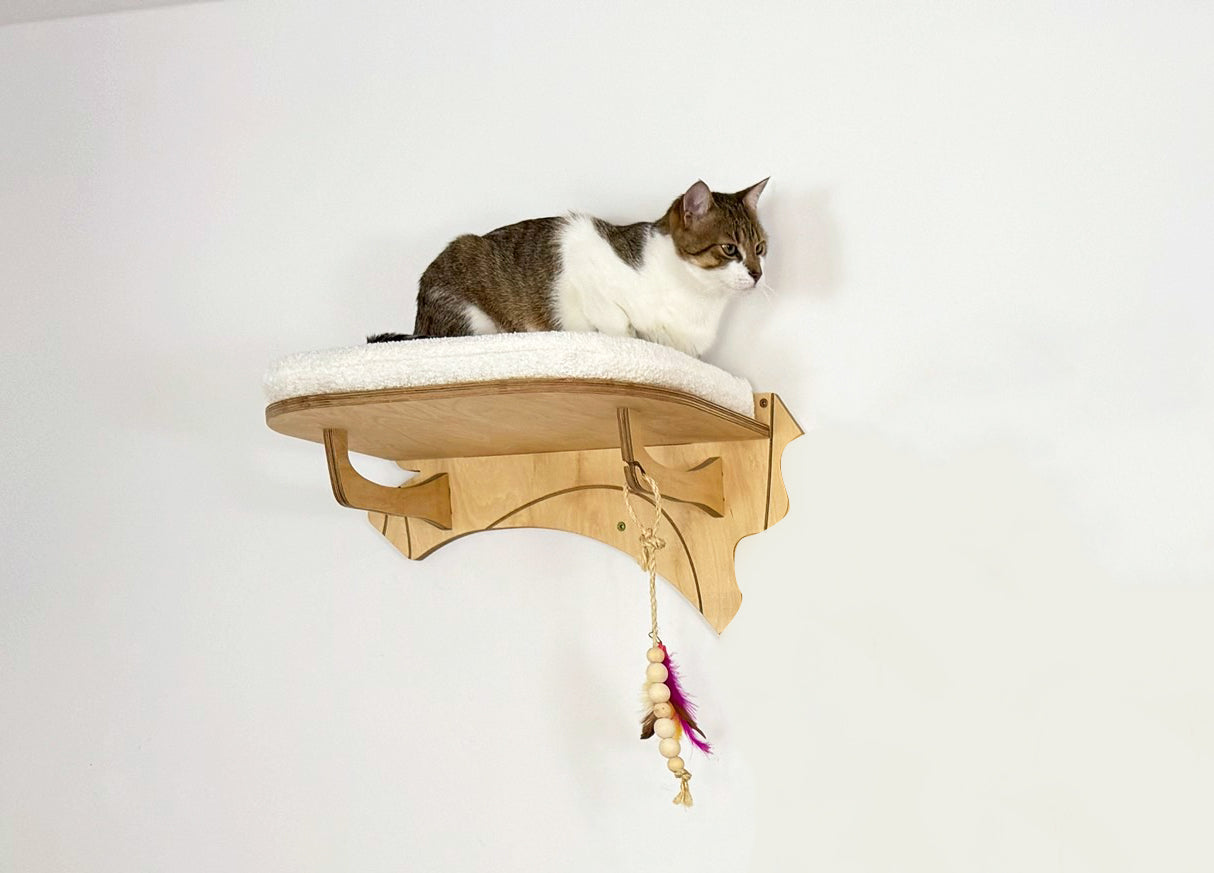 Cat sitting on a wooden cat shelf with a white background