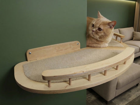 Set of 2 shelves for the outer corner of the cat room