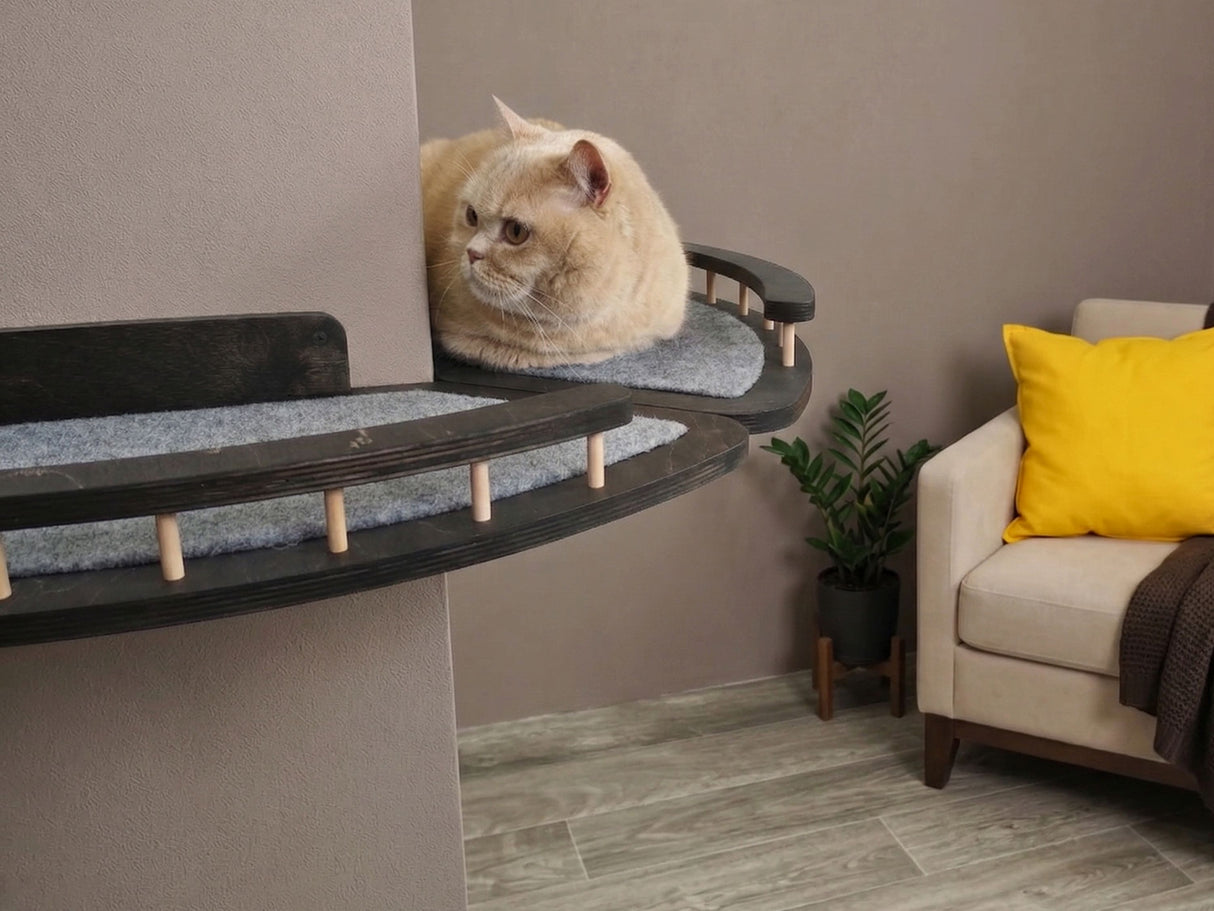Set of 2 cat shelves for the outer corner of the room