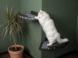 Dark Cat Wall Shelves 