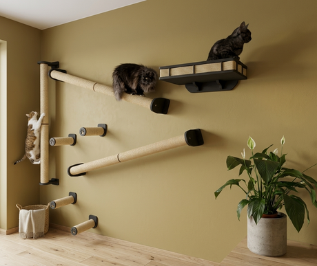 cat wall set of plywood shelves