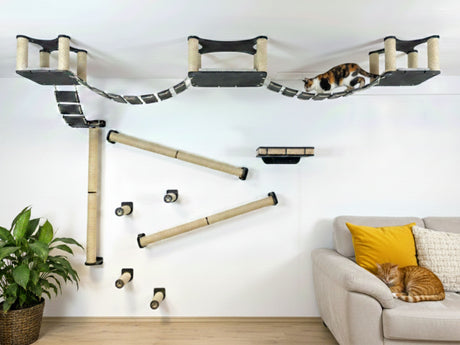Ceiling and Wall Cat Furniture Set with Climbing Posts