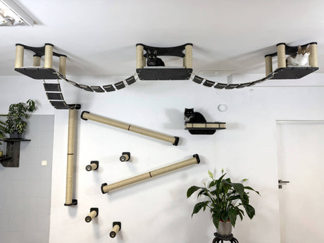 Luxury Cat Wall & Ceiling Complex 