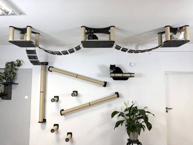 Luxury Cat Wall & Ceiling Complex 