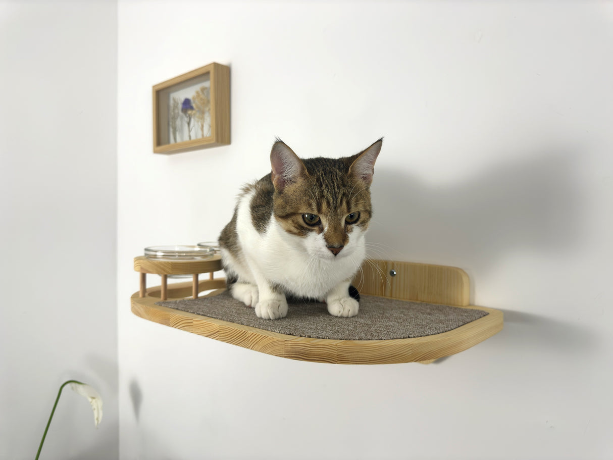 Big cat shelf-feeder, Shelf with 2 raised bowls