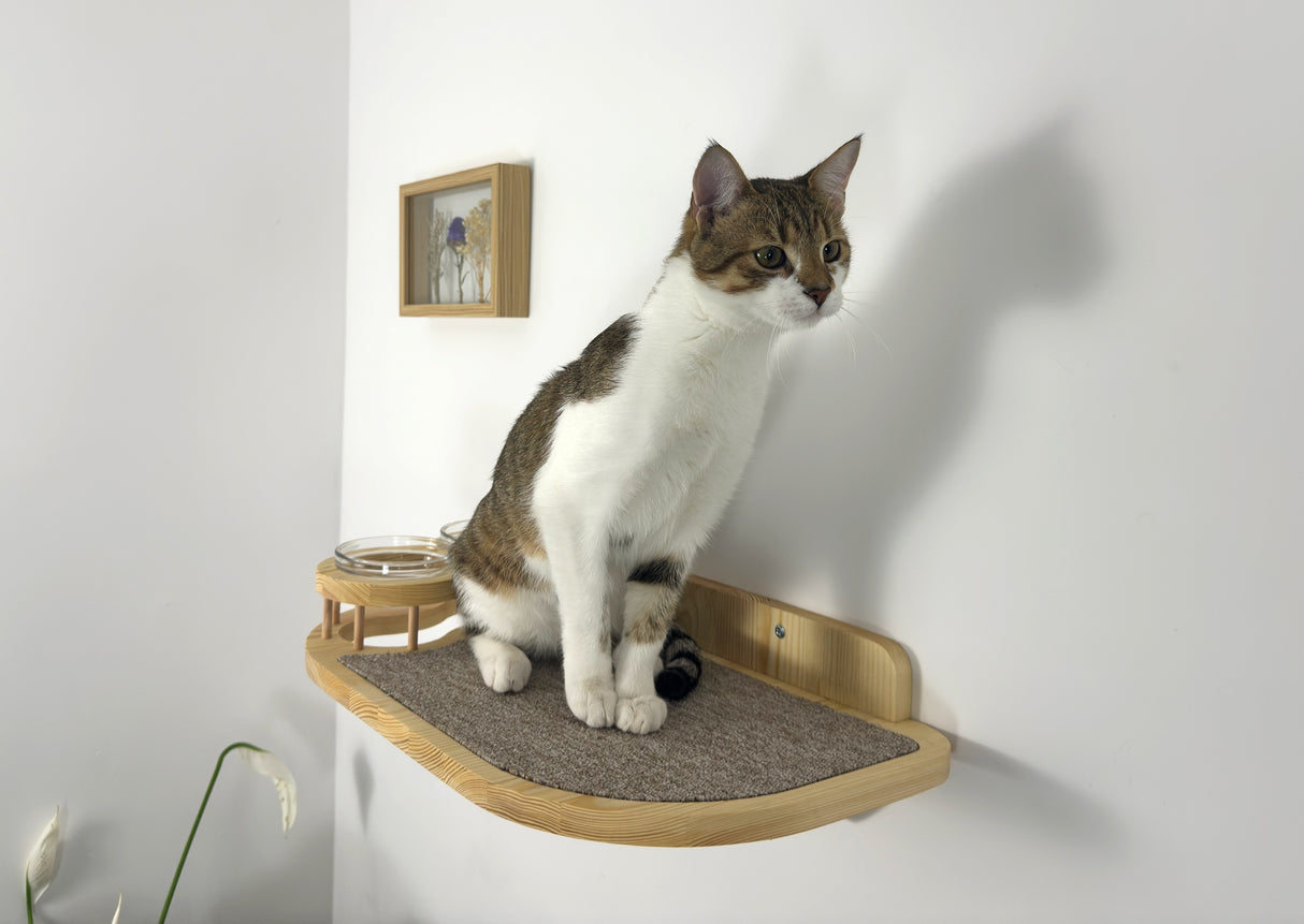 Big cat shelf-feeder, Shelf with 2 raised bowls