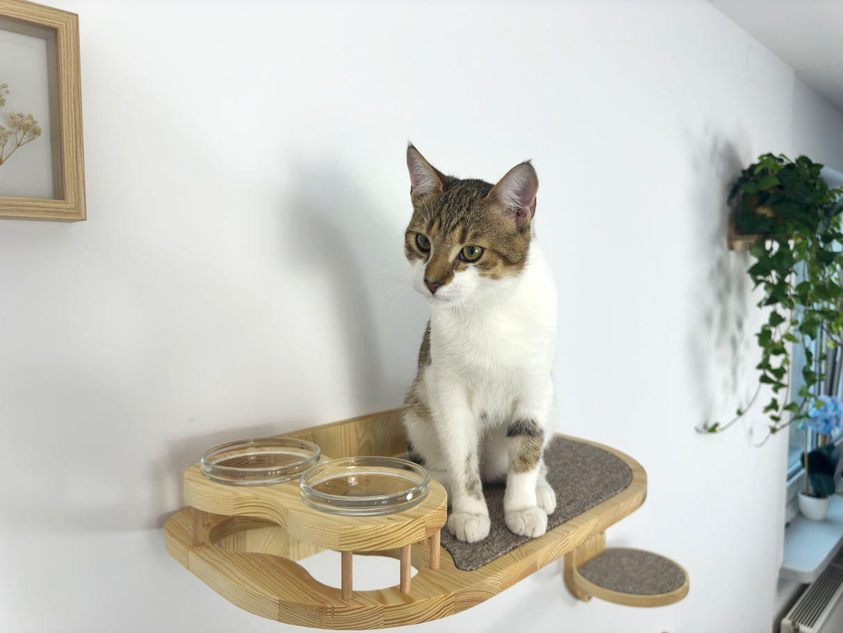 Cat Feeder Shelf Set, Cat Food Shelf, Pet Bowls and Steps