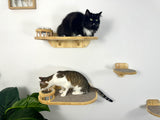 Set of 2 cat shelves with bowls and steps made of natural wood