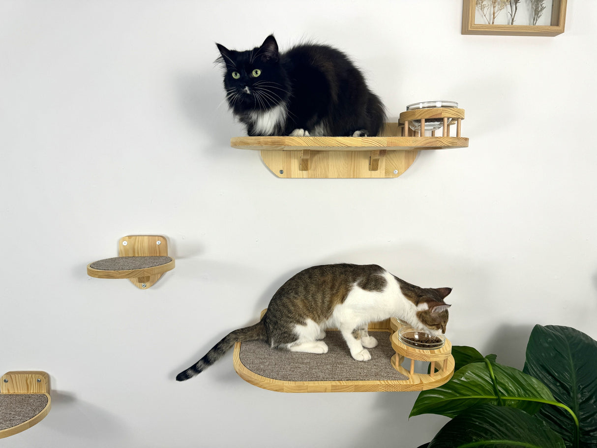 Set of 2 cat shelves with bowls and steps made of natural wood