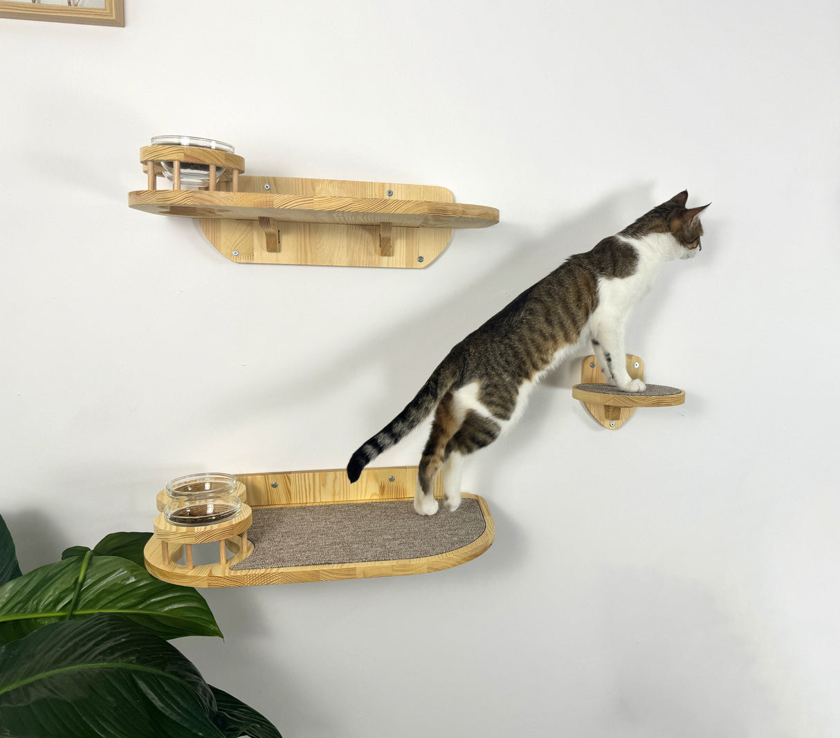 Set of 2 cat shelves with bowls and steps made of natural wood