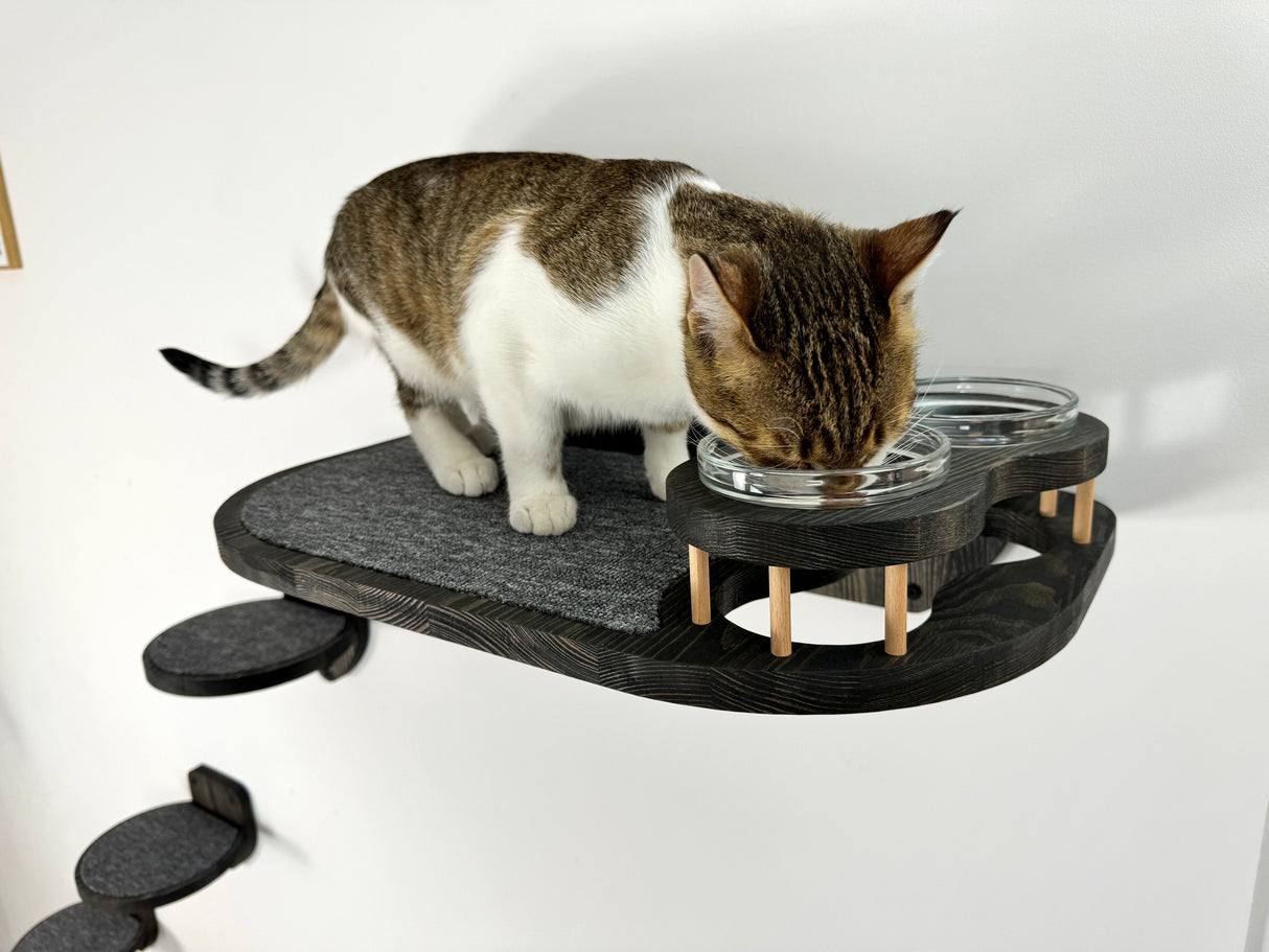 Cat Feeder Shelf Set, Cat Food Shelf, Pet Bowls and Steps