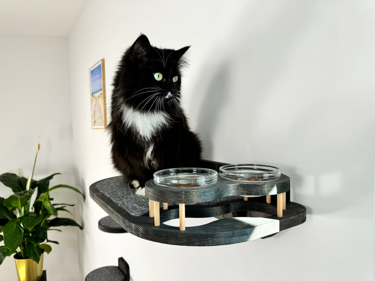 Cat Feeder Shelf Set, Cat Food Shelf, Pet Bowls and Steps