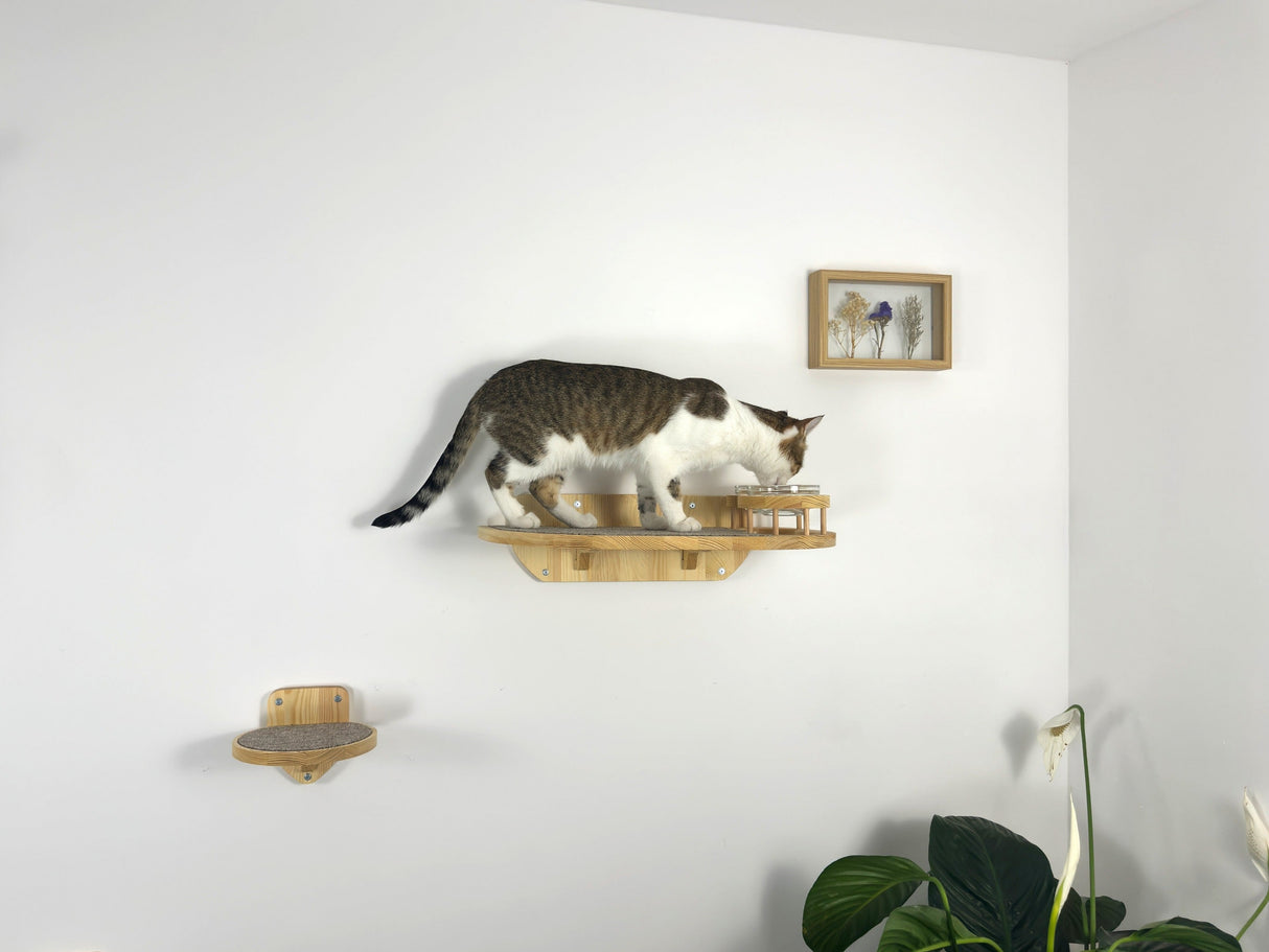 Cat Feeder Shelf Set, Cat Food Shelf, Pet Bowls and Steps