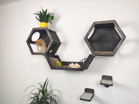 Set of hexagonal wall-mounted cat perches in dark wood color. 3 shelves and 3 steps for cat comfort