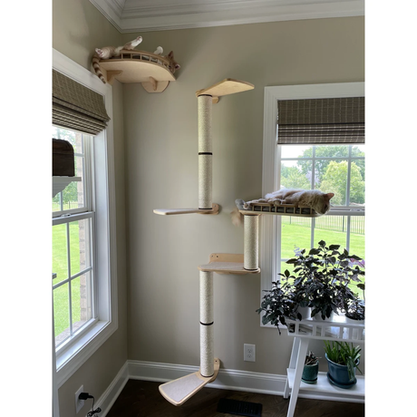 scratching poles for cats