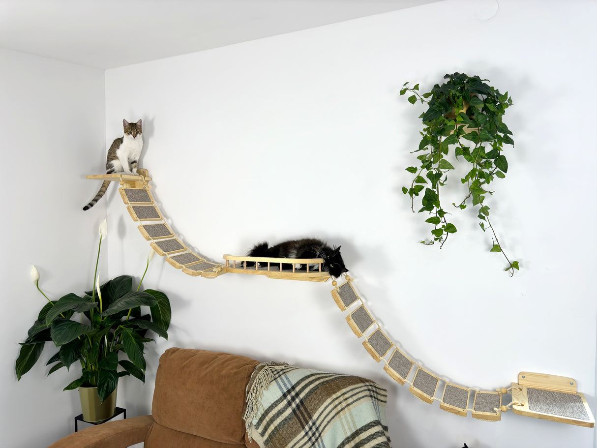 A large wall shelf for cats with bridges on the sides