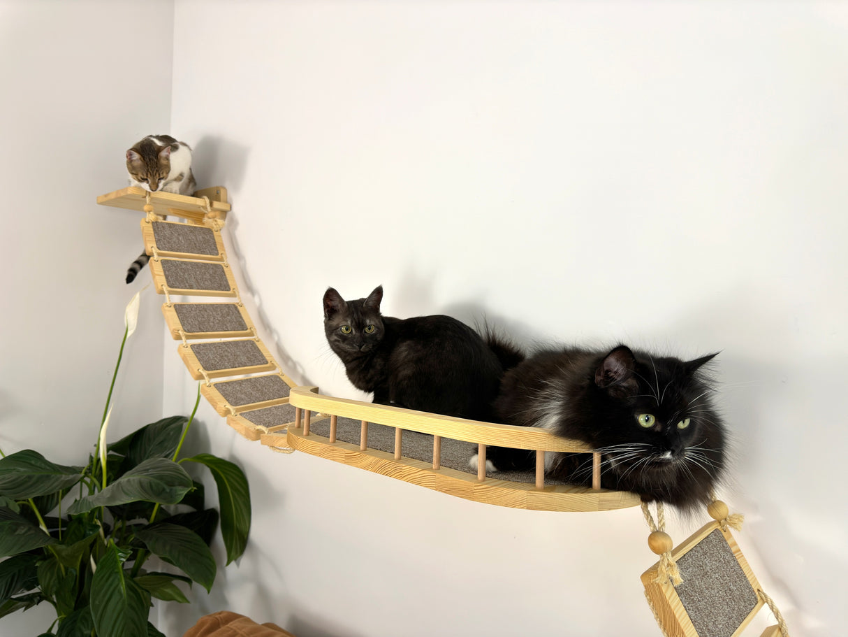 A large wall shelf for cats with bridges on the sides