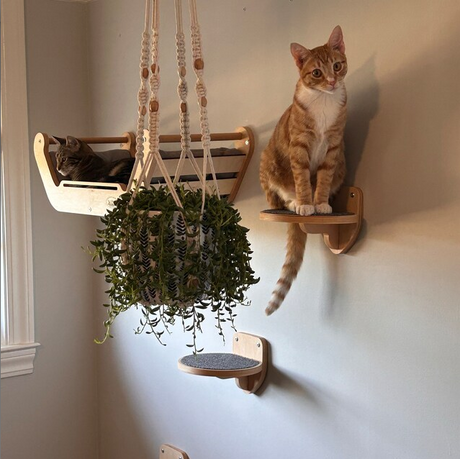 wall steps for cats