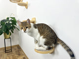 Cat wall furniture, Cat wall steps, Set of 3 round steps