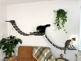 Cat shelf with bridges on the sides