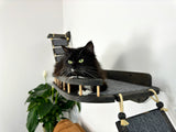 Cat shelf with bridges on the sides