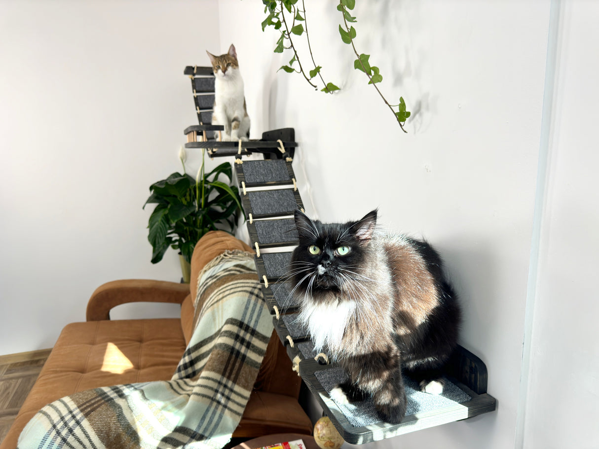 Cat shelf with bridges on the sides