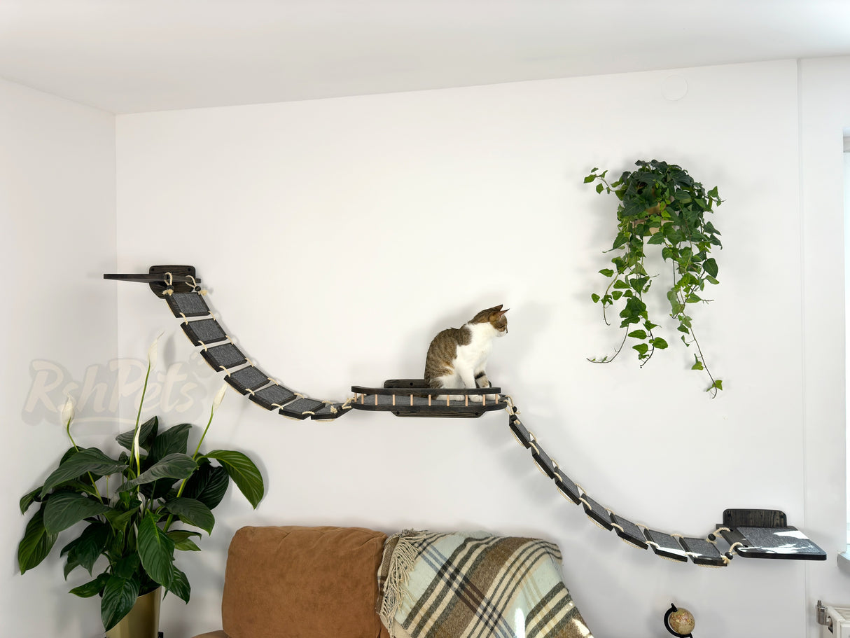 Cat shelf with bridges on the sides