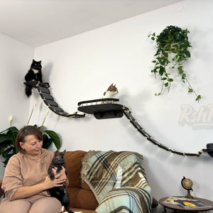 Cat shelf with bridges on the sides