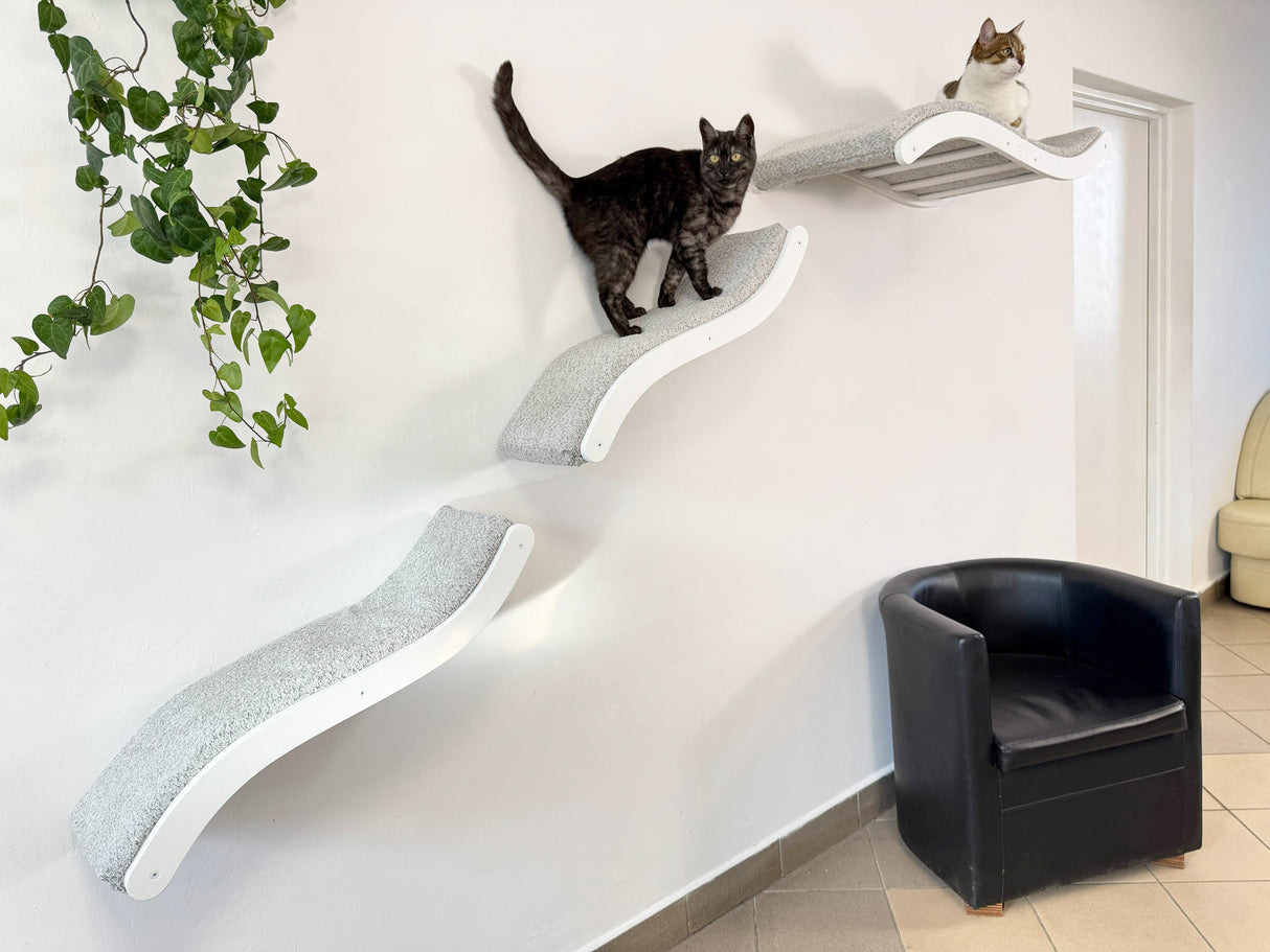 Cat climbing shelf with two cats on a white wall, black chair in foreground