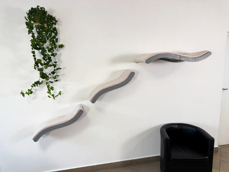 Modern cat tree with curved shelves against a white wall with a plant.