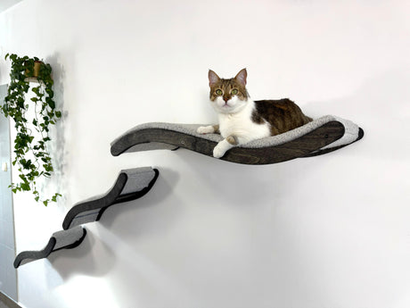 Cat lounging on a modern cat shelf against a white wall with a plant.
