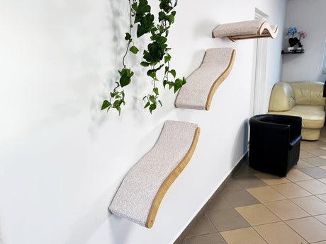Cat climbing shelves on a white wall with a plant and a black cat bed in the foreground.
