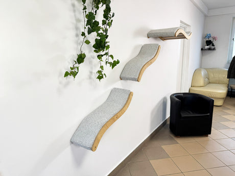 Wall-mounted cat shelves in a room with a couch and plant