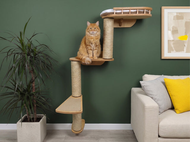 Cat sitting on a wooden cat tree against a green wall with a plant and sofa in the background.