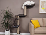 Cat climbing a cat tree in a living room with a plant and sofa.