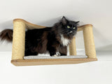 cat wall climbing shelves