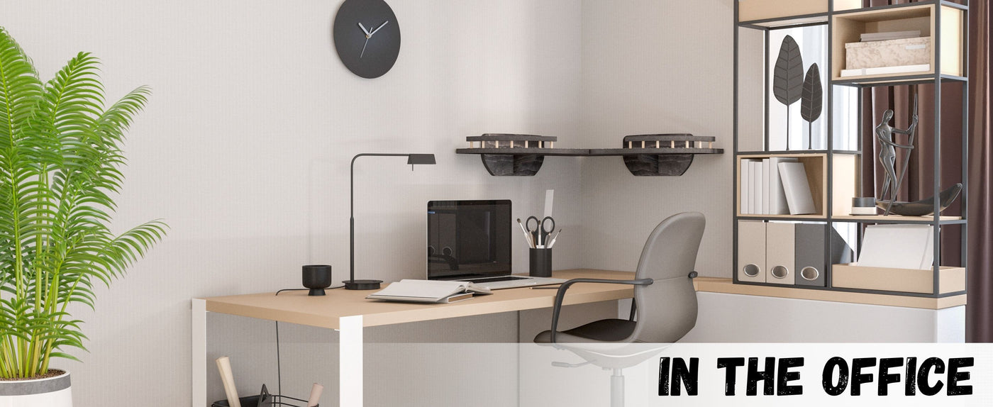 Modern office desk with computer, lamp, and cat wall shelves with books and decor.