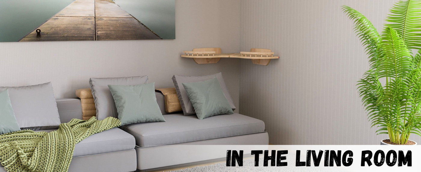 Living room with a gray sofa, decorative pillows, and cat wall shelf