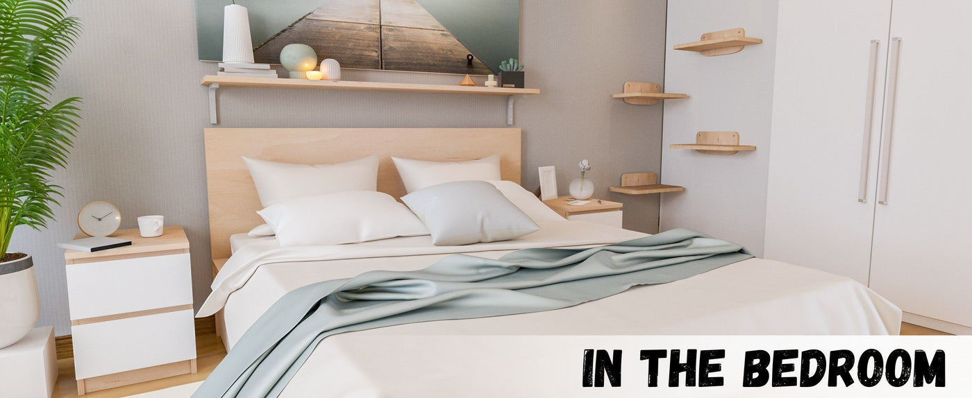 Modern bedroom with a bed, nightstands, and cat shelves.